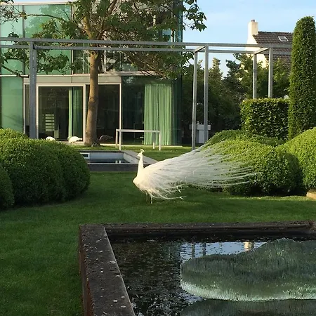 Landsted H-house Architectural Maastricht